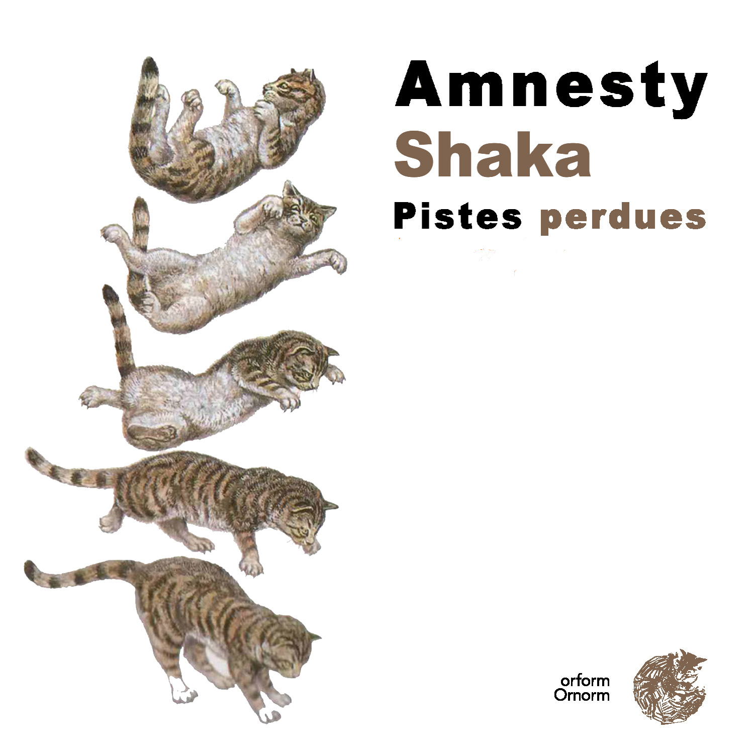 AmnestyShaka-Pistes Perdues