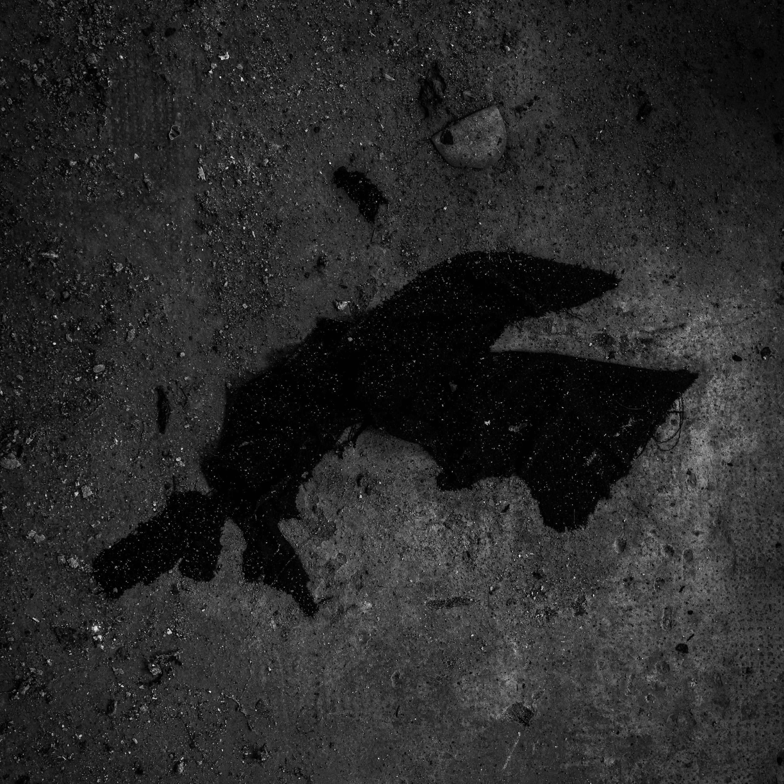  Vous (single)| Hades feat. Dida Gigan | 2026